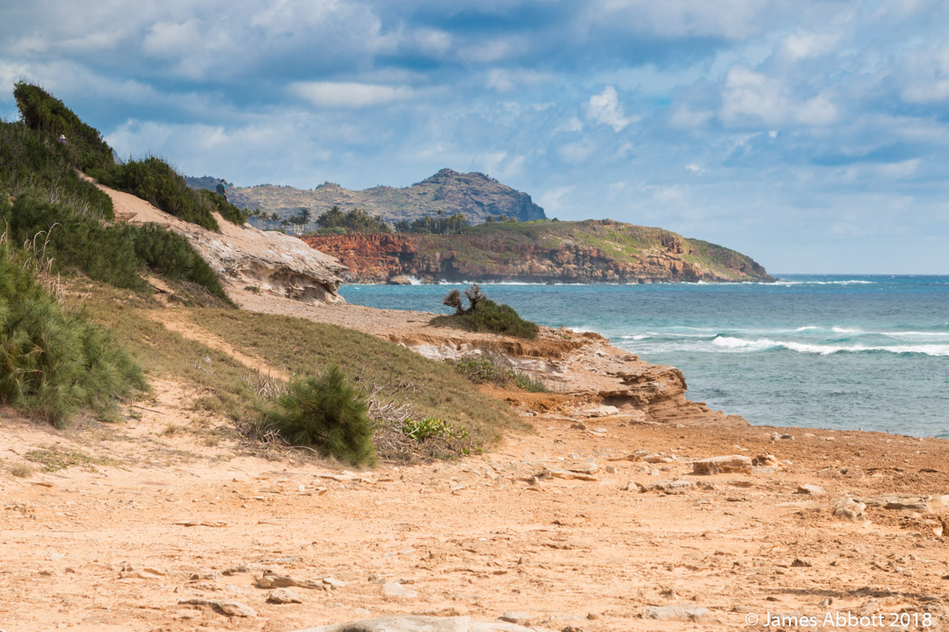Shipwreck Beach, United States: sea temperature, photo and map