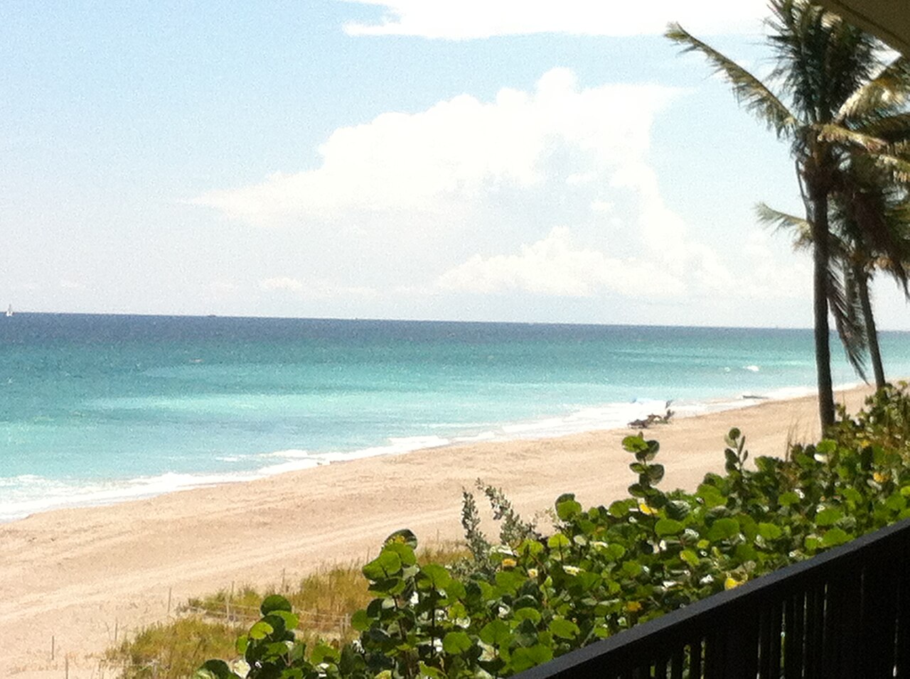 Hillsboro Beach, United States: sea temperature, photo and map