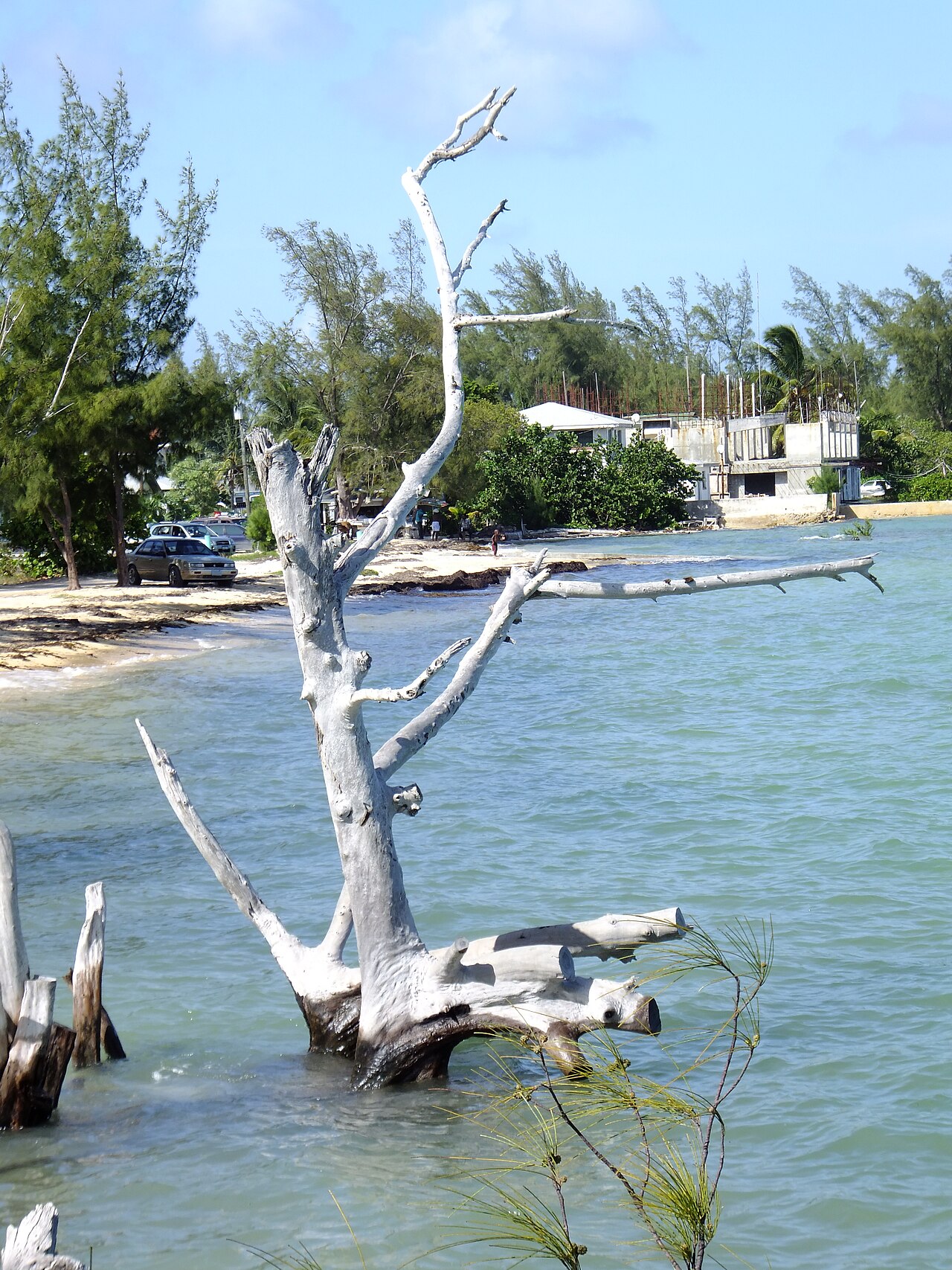 South Beach, The Bahamas: sea temperature, photo and map