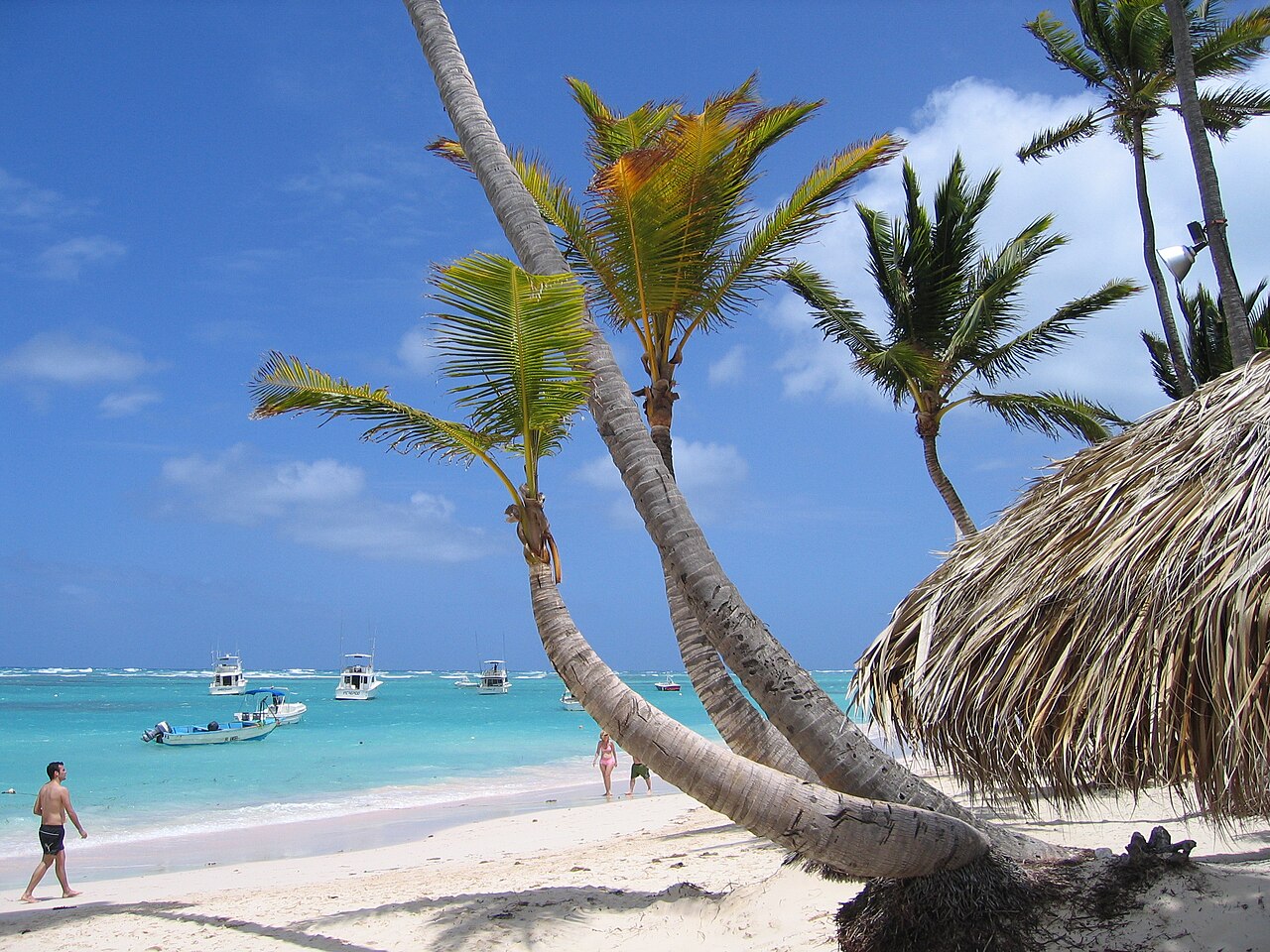Bavaro Beach, Dominican Republic: sea temperature, photo and map