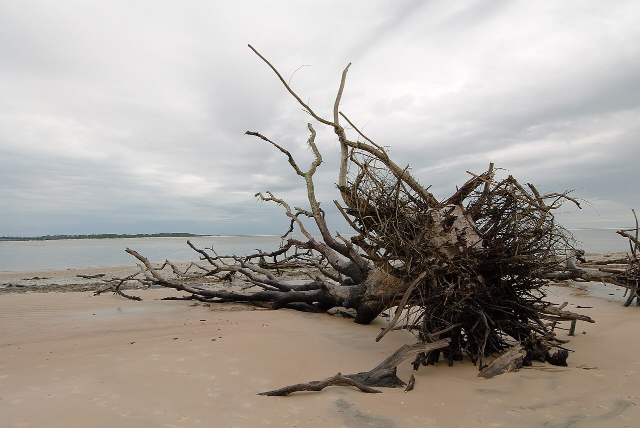 Boneyard Beach, United States: sea temperature, photo and map