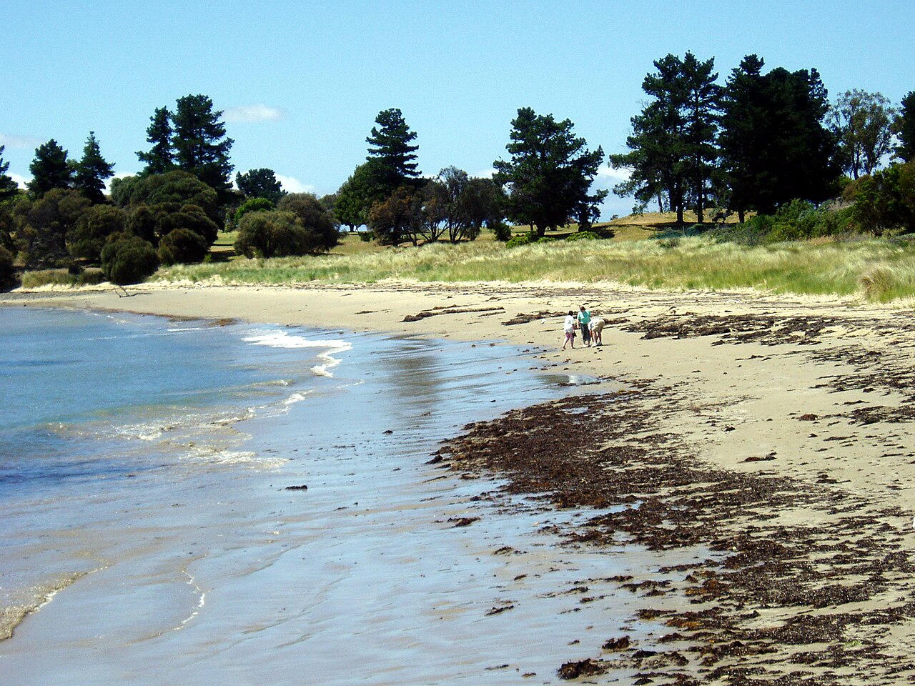 Jubilee Beach, Australia: sea temperature, photo and map