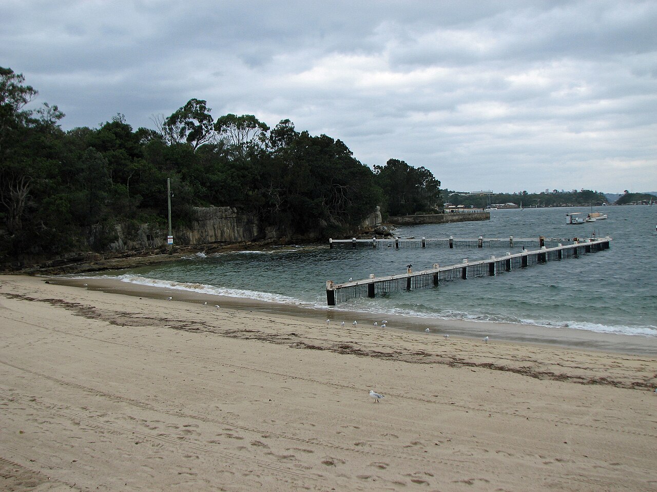 Little Manly Beach, Australia: sea temperature, photo and map