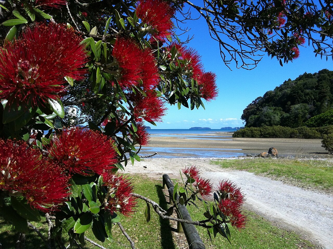 Campbells Beach, New Zealand: sea temperature, photo and map